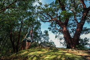 BIB: 
                            <button type="button" onclick="openModal(28597627)" class="btn btn-primary btn-sm float-right btn-popup" data-toggle="modal" data-target=".modal-high-quality">
                        <i class="fas fa-shopping-cart"></i> Add to Cart
                    </button>
                                            <button type="button" onclick="isThisMe(28597627, true)" class="btn btn-success btn-sm float-right btn-popup btn-isme hidden" data-toggle="tooltip" data-placement="bottom" title="นี่คือรูปของคุณใช่ไหม คลิกที่นี่เพื่อเอาเข้าอัลบั้ม">
                        <i class="fas fa-plus"></i> Add to album
                    </button>
                    <button type="button" onclick="isThisMe(28597627, false)" class="btn btn-warning btn-sm float-right btn-popup btn-isnotme hidden">
                        <i class="fas fa-ban"></i> Remove from album
                    </button>